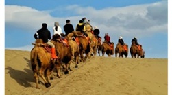 Camel caravan on Silk Road