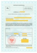 Example of an EU Community Road Transport License